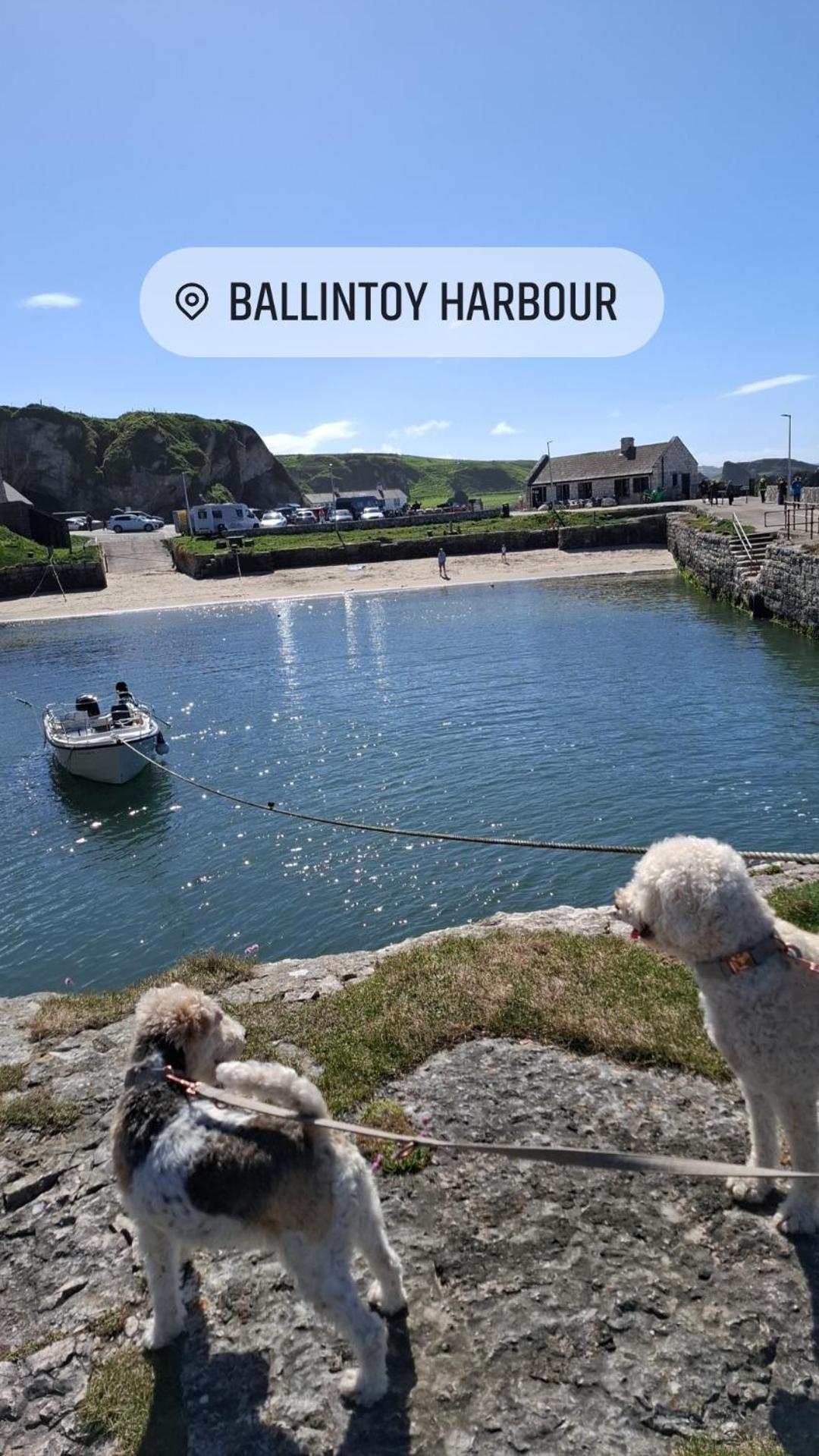Therapy Lodge Ballycastle Δωμάτιο φωτογραφία